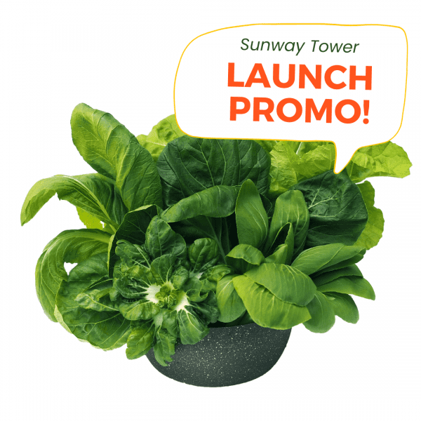 Sunway Tower Launch Promo Asian Greens