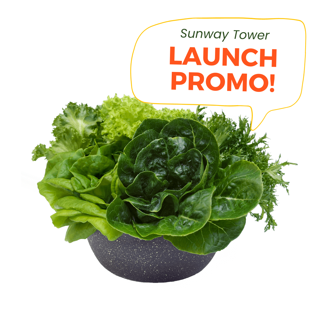 Sunway Tower Launch Promo Salad Lettuces