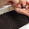 Microgreens Growing Kit - Image 5