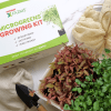 Microgreens Growing Kit - Image 2