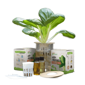[6 for RM105] Eco-friendly Mini Farm Kit