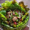 Gourmet Mix (Salad Leaf Mix + Fruity Vegetables) - Image 5