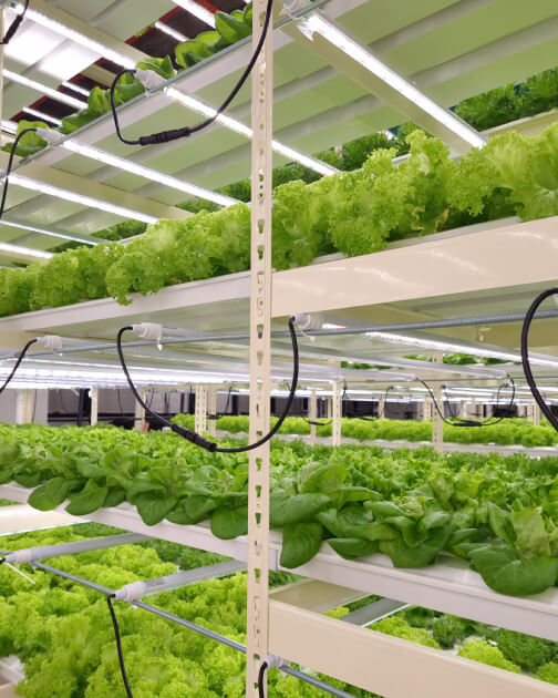 Is Smart Farming the Answer to Sustainable Agriculture?