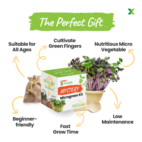 Mystery Microgreens Growing Kit - Image 2